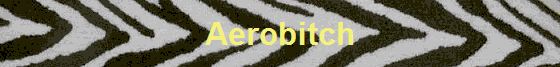 Aerobitch