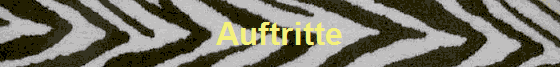 Auftritte