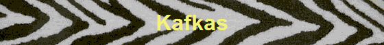 Kafkas